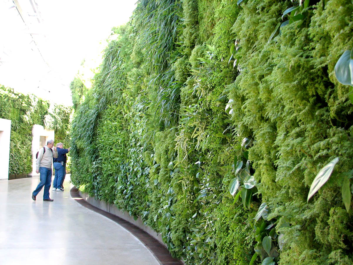 Thi công tường cây xanh - Mongarden