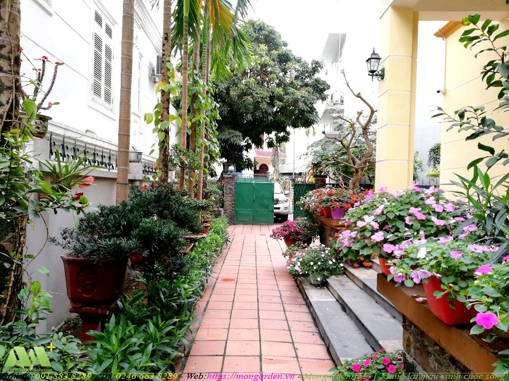 Hiện trạng sân vườn biệt thự anh Minh thành phố Hạ Long tỉnh Quảng Ninh