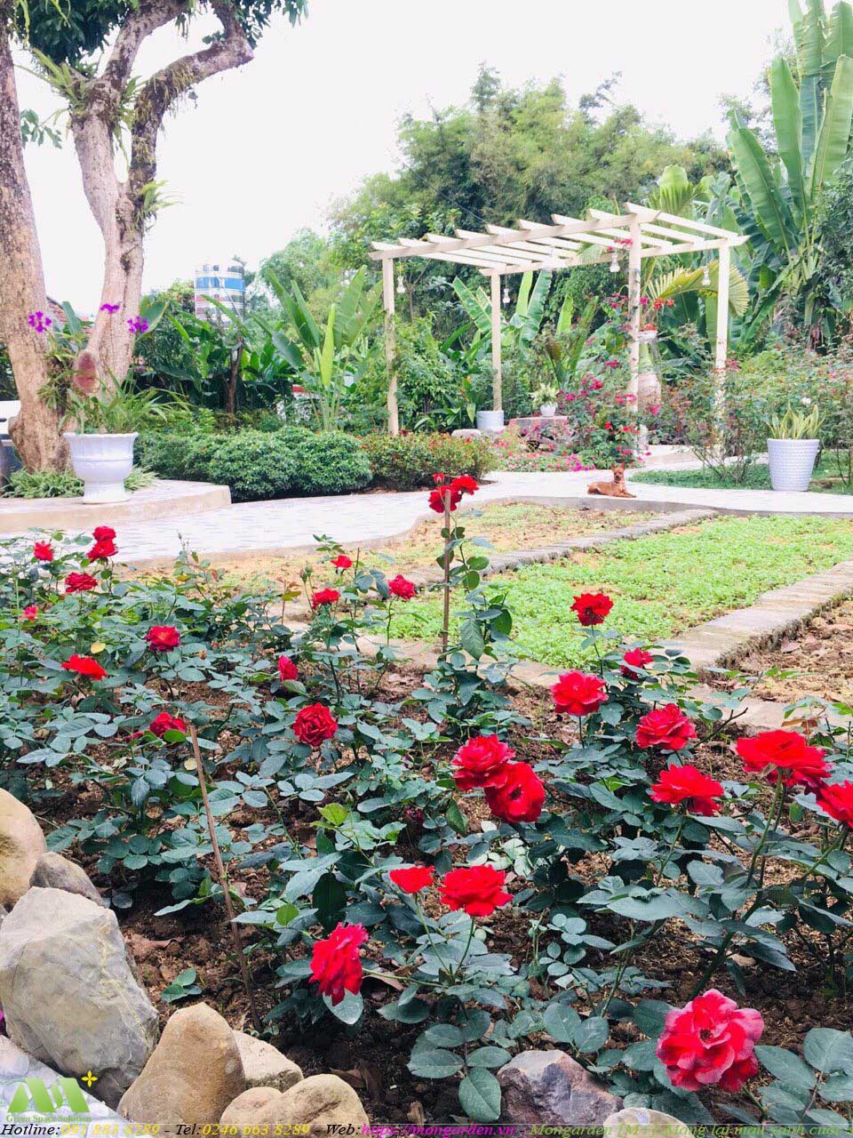 Hoàn thiện sân vườn chị Hà thành phố Điện Biên