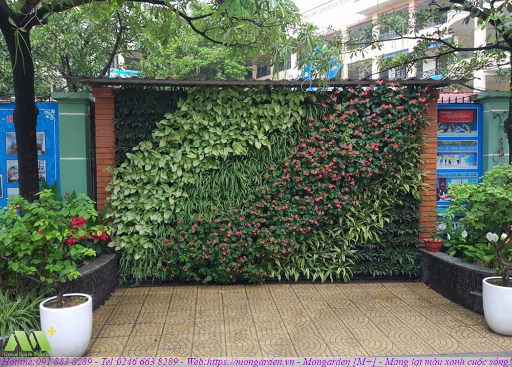 Thi công tường cây xanh - Mongarden Việt Nam