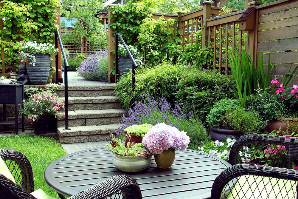 Chiêm ngưỡng 11+ mẫu thiết kế sân vườn đẹp cho mọi nhà