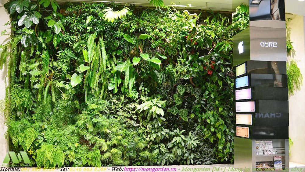 Hướng dẫn chăm sóc tường cây xanh