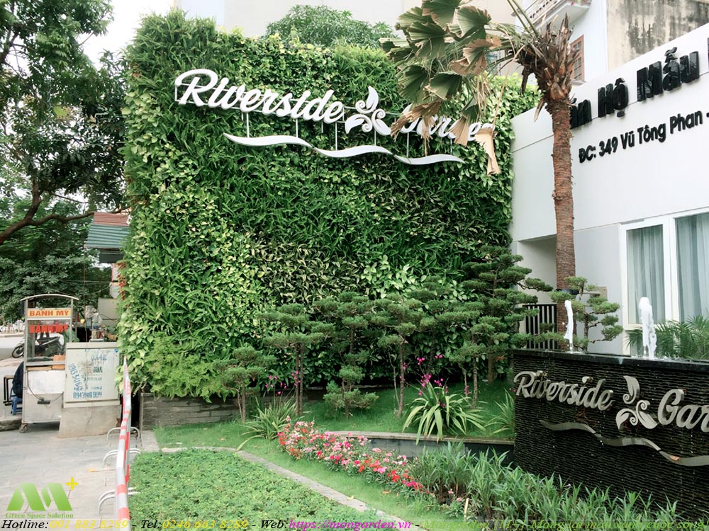 Hướng dẫn chăm sóc tường cây xanh