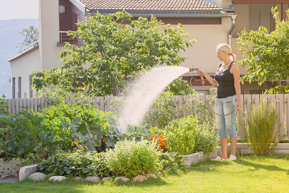 Chăm sóc sân vườn