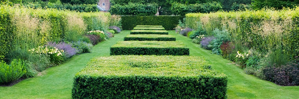 Một số nguyên tắc trong thiết kế cảnh quan sân vườn Một số nguyên tắc trong thiết kế cảnh quan sân vườn