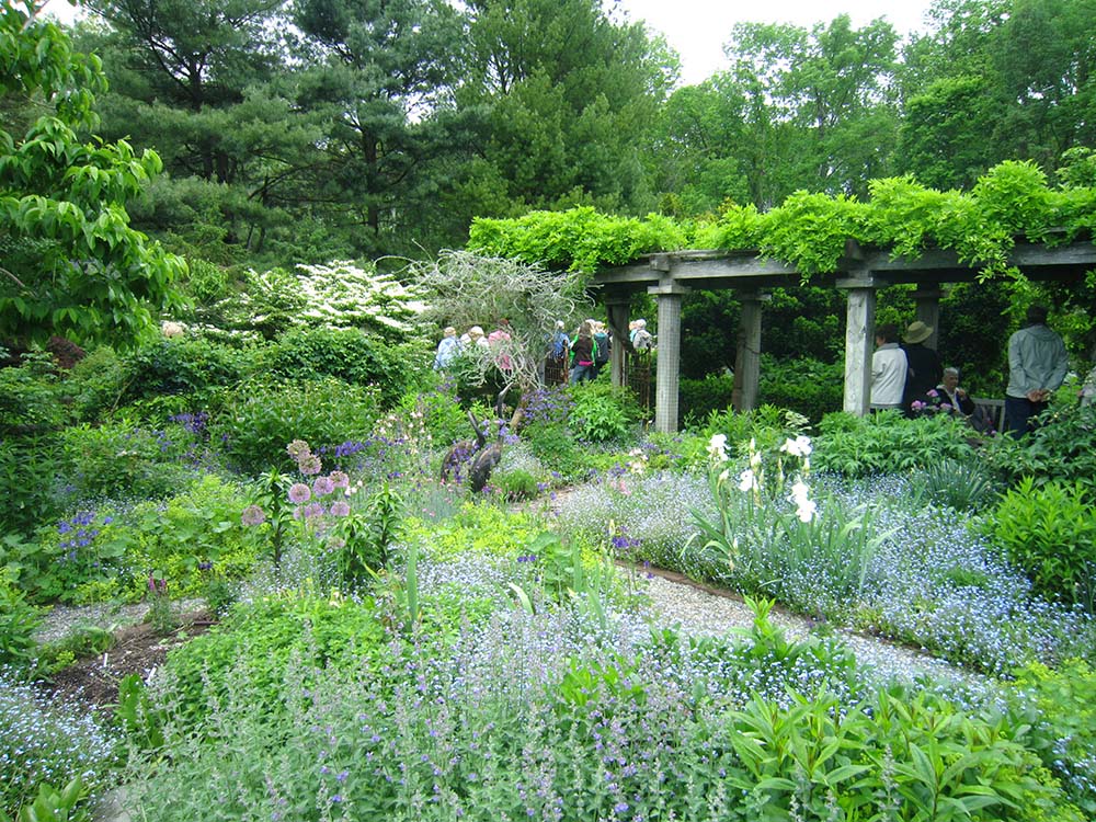 Thiết kế thi công sân vườn biệt thự đẳng cấp – Mongarden