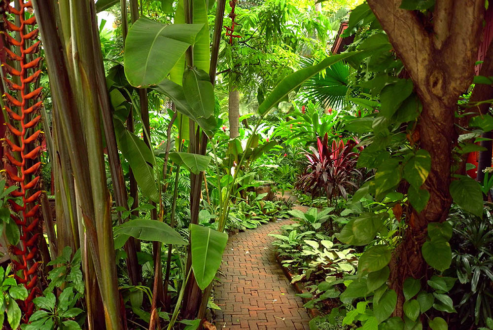 Điều kiện tự nhiên ảnh hưởng đến việc hình thành phong cách thiết kế vườn nhiệt đớii