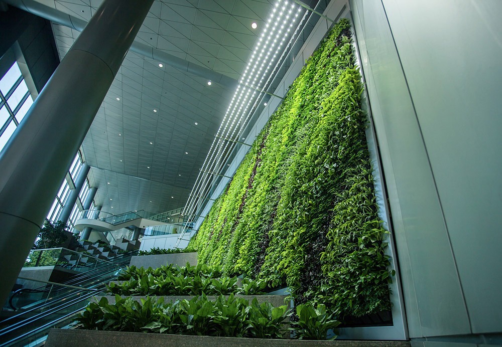 Những loại cây thường dùng cho thi công tường cây xanh thủy canh