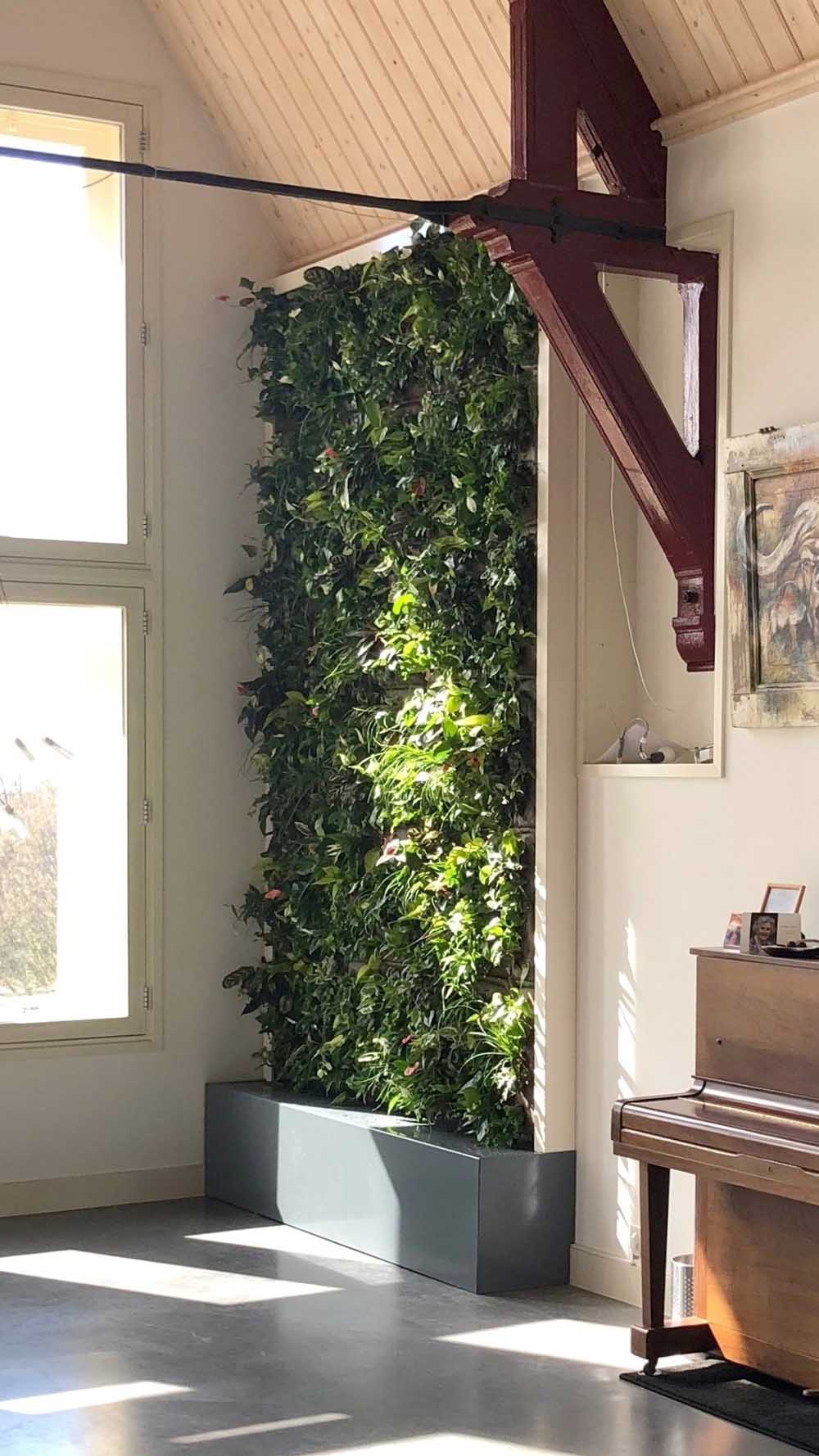 Tường cây xanh cho nội thất xanh - Mongarden Việt Nam