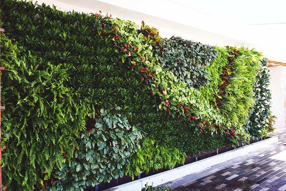 Tường cây xanh cho nội thất xanh - Mongarden Việt Nam