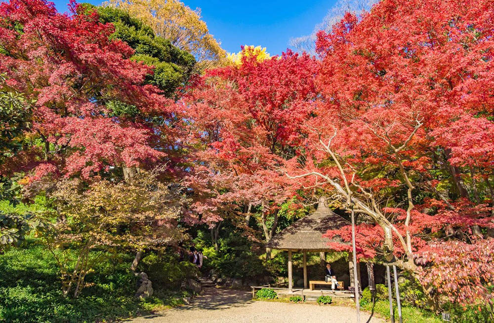 Tổng hợp 15 khu vườn tuyệt đẹp trên thế giới (P1)