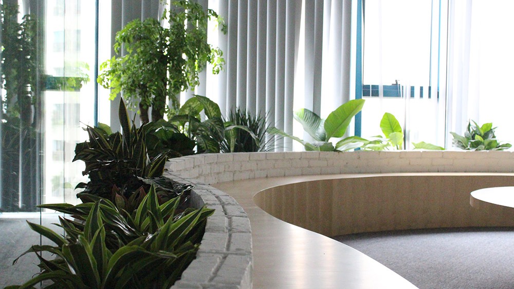Tường cây xanh cho nội thất văn phòng làm việc – Mongarden Tường cây xanh cho nội thất văn phòng làm việc – Mongarden