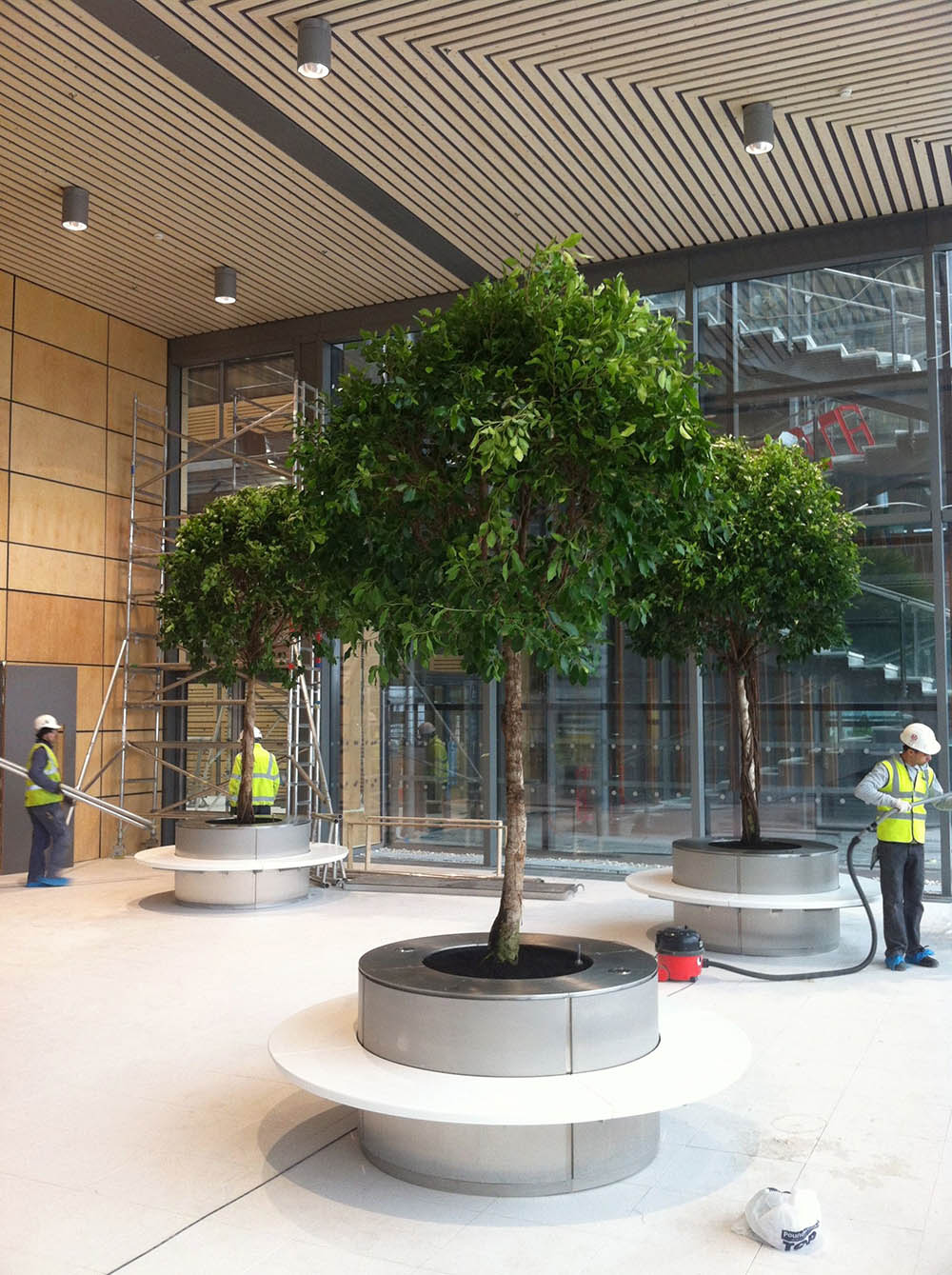 Tường cây xanh cho nội thất văn phòng làm việc – Mongarden Tường cây xanh cho nội thất văn phòng làm việc – Mongarden