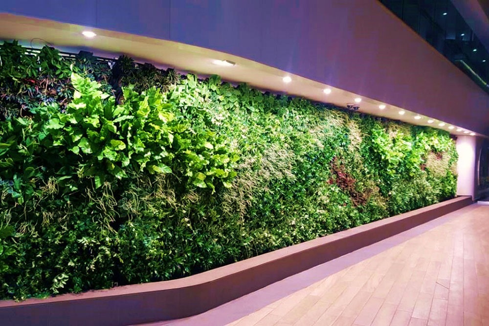 Tường cây xanh cho nội thất văn phòng làm việc – Mongarden Tường cây xanh cho nội thất văn phòng làm việc – Mongarden
