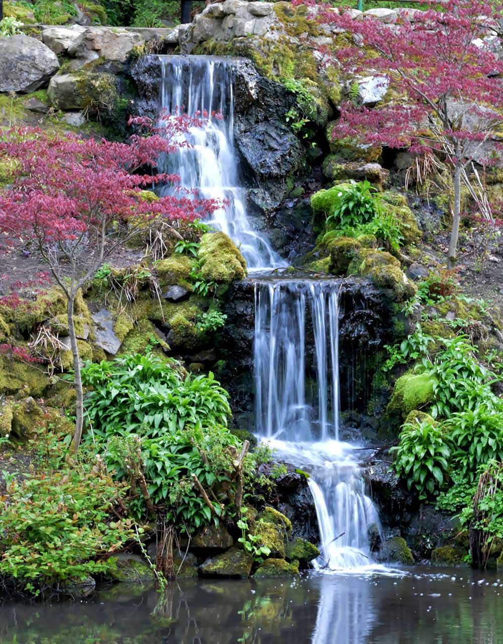 Thác nước phong cách tự nhiên trong thiết kế sân vườn