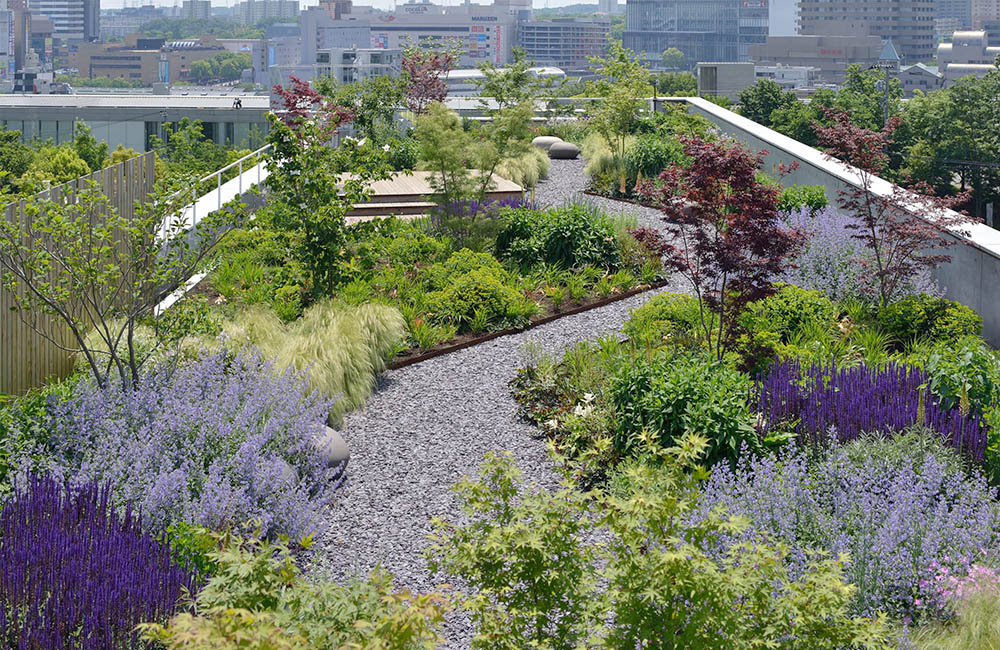 Vườn trên mái tại trụ sở Green Wise