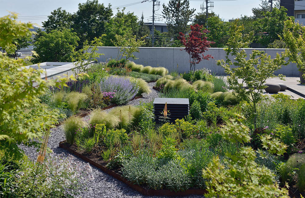 Vườn trên mái tại trụ sở Green Wise