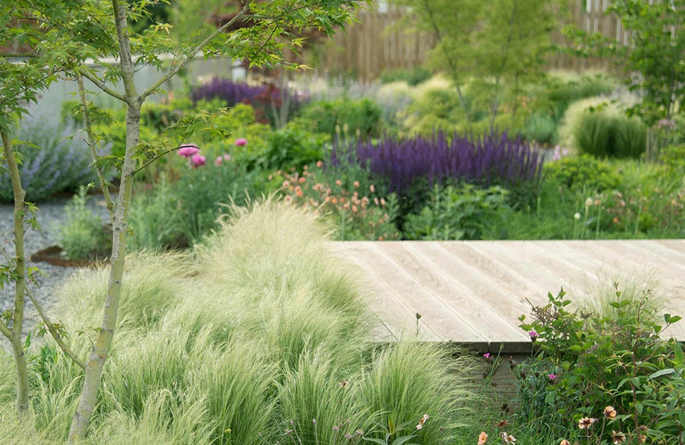 Vườn trên mái tại trụ sở Green Wise