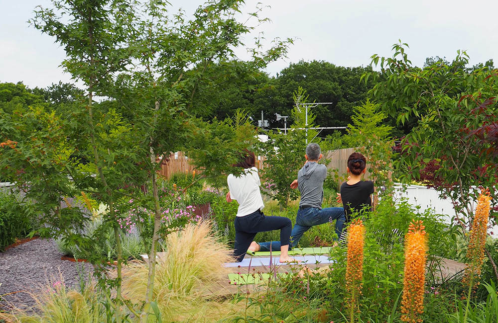 Vườn trên mái tại trụ sở Green Wise