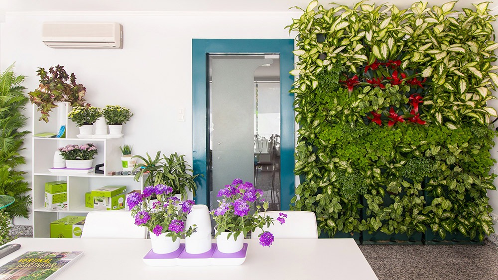 Tường cây xanh cho nội thất văn phòng làm việc – Mongarden Tường cây xanh cho nội thất văn phòng làm việc – Mongarden