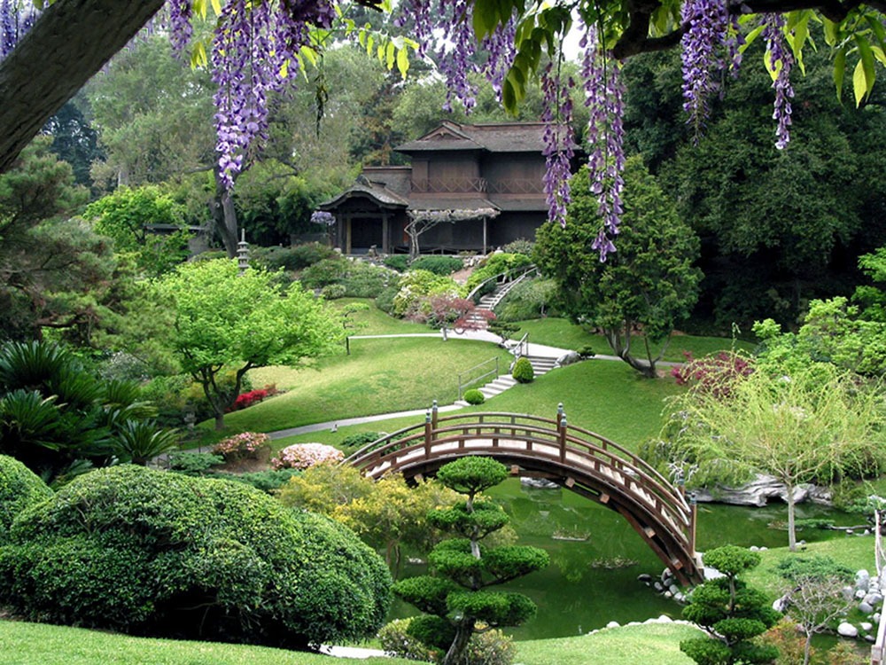 10+ Mẫu thiết kế sân vườn phong cách vườn Nhật Bản - Mongarden