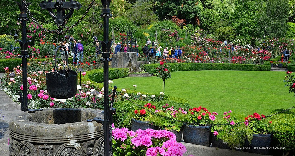 Sắc màu trong thiết kế sân vườn - Mongarden