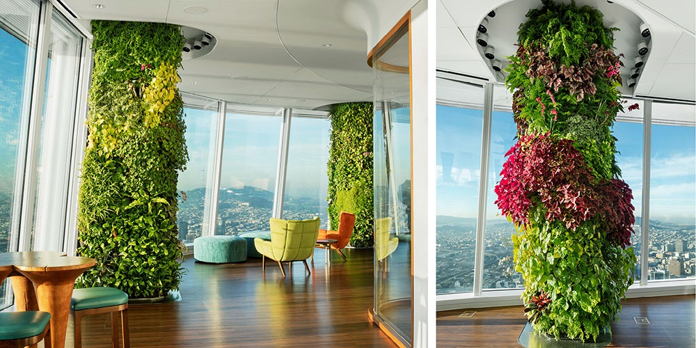 Muôn kiểu thiết kế thi công tường cây xanh