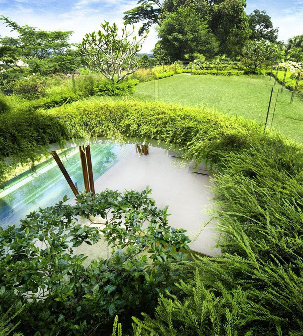 Thiết kế sân vườn đơn giản, hiện đại - Mongarden