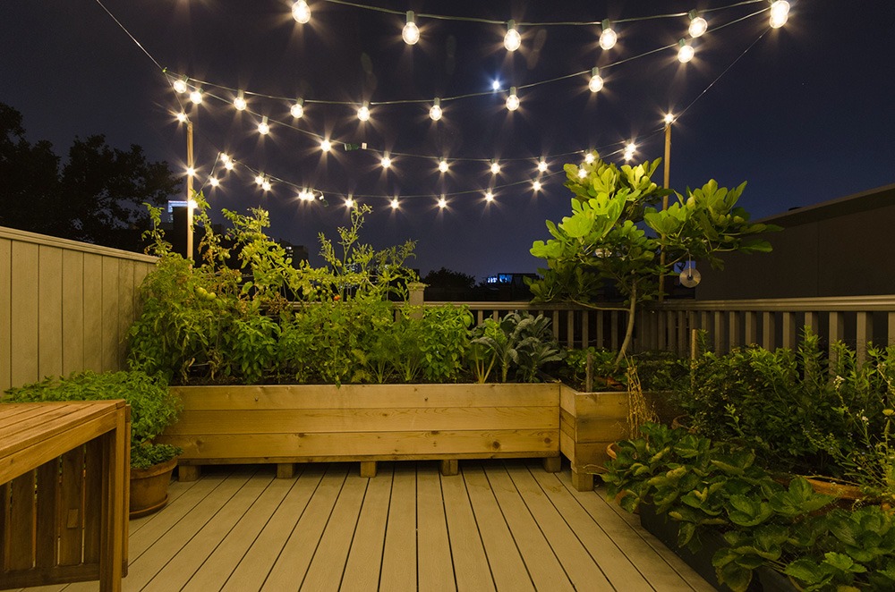 Mẫu vườn trên mái nhỏ xinh cho nhà phố - Mongarden