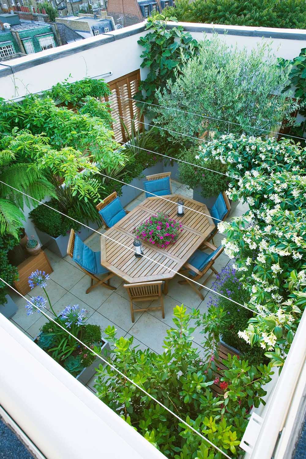 Mẫu vườn trên mái nhỏ xinh cho nhà phố - Mongarden