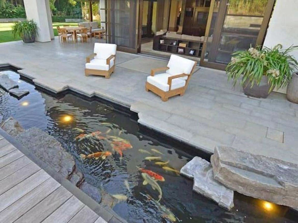 Tổng hợp mẫu thiết kế hồ cá Koi tuyệt đẹp cho khu vườn của bạn