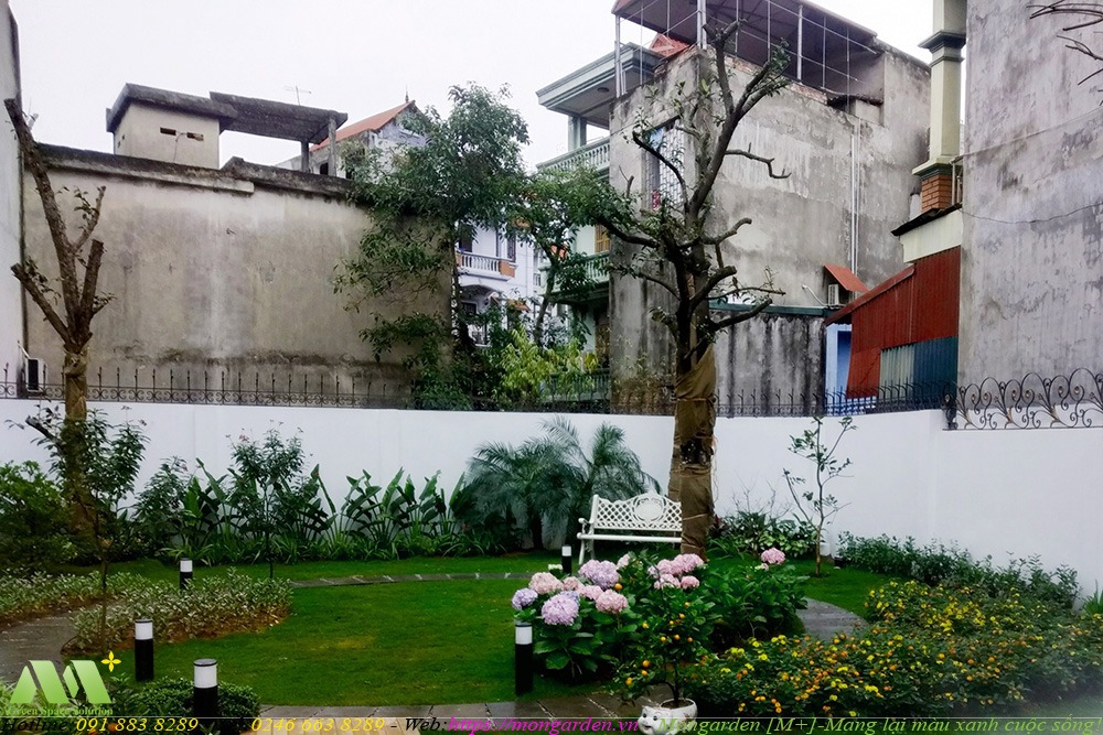 Chăm sóc, bảo dưỡng sân vườn nhà anh Dũng - Vĩnh Phúc