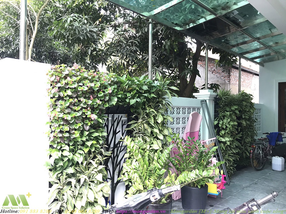 Thi công sân vườn nhà anh Dũng - Vĩnh Phúc