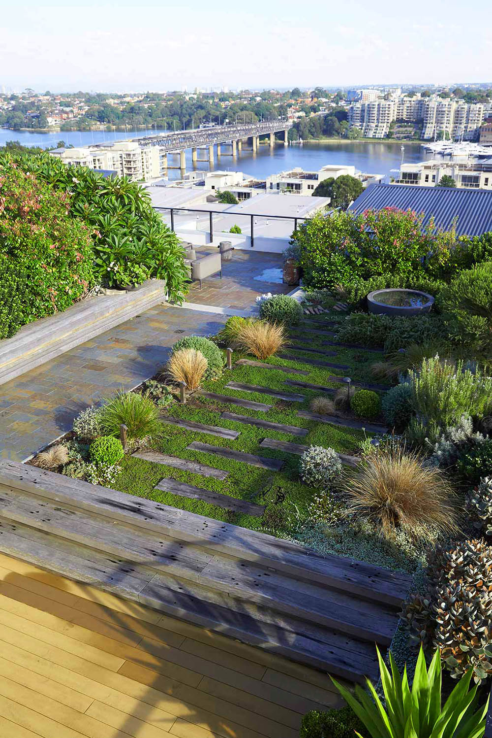 Dự án thiết kế vườn trên mái Rozelle, Sydney
