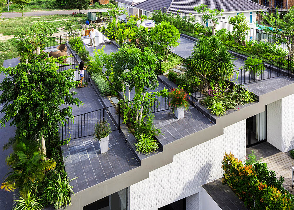 7+ mẫu vườn trên mái đẹp lung linh cho nhà phố - Mongarden