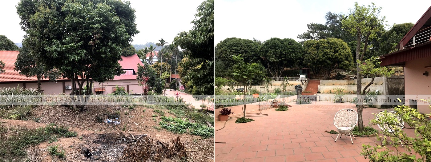 Hiện trạng sân vườn chị Giang - Chí Linh, Hải Dương