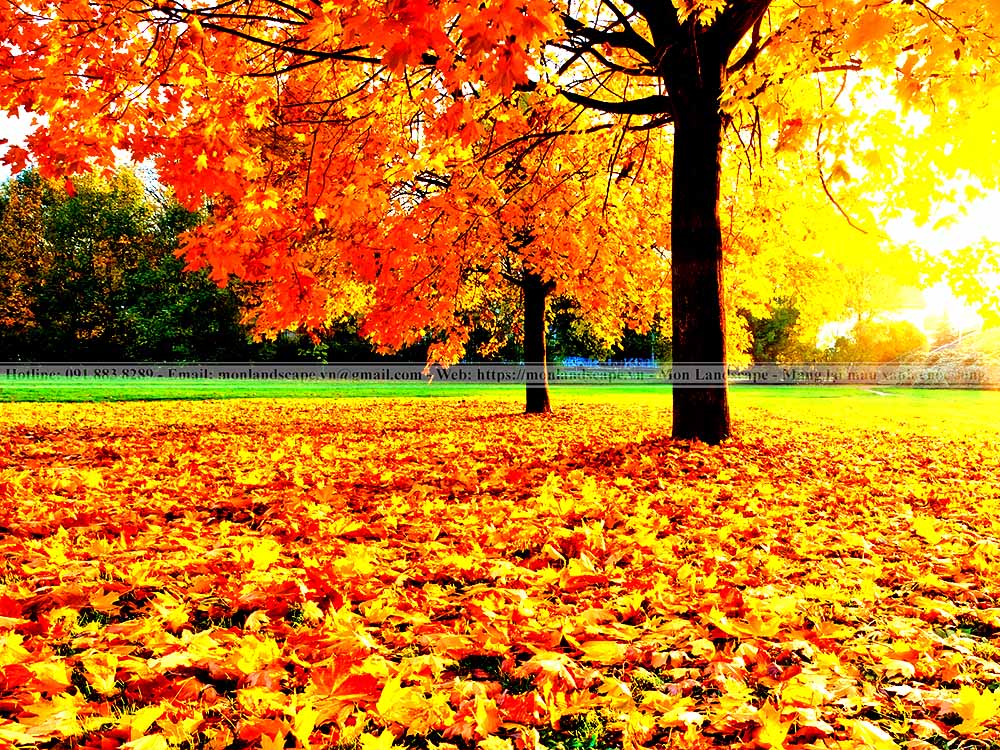 Công viên High Line, Rail Yards, New York