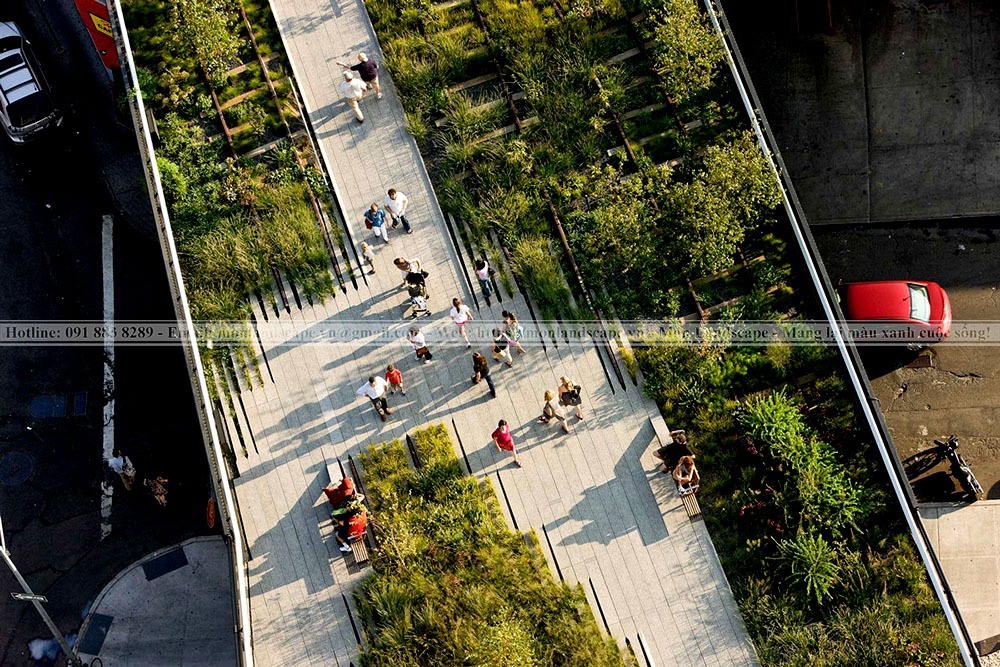 Công viên High Line từ trên cao