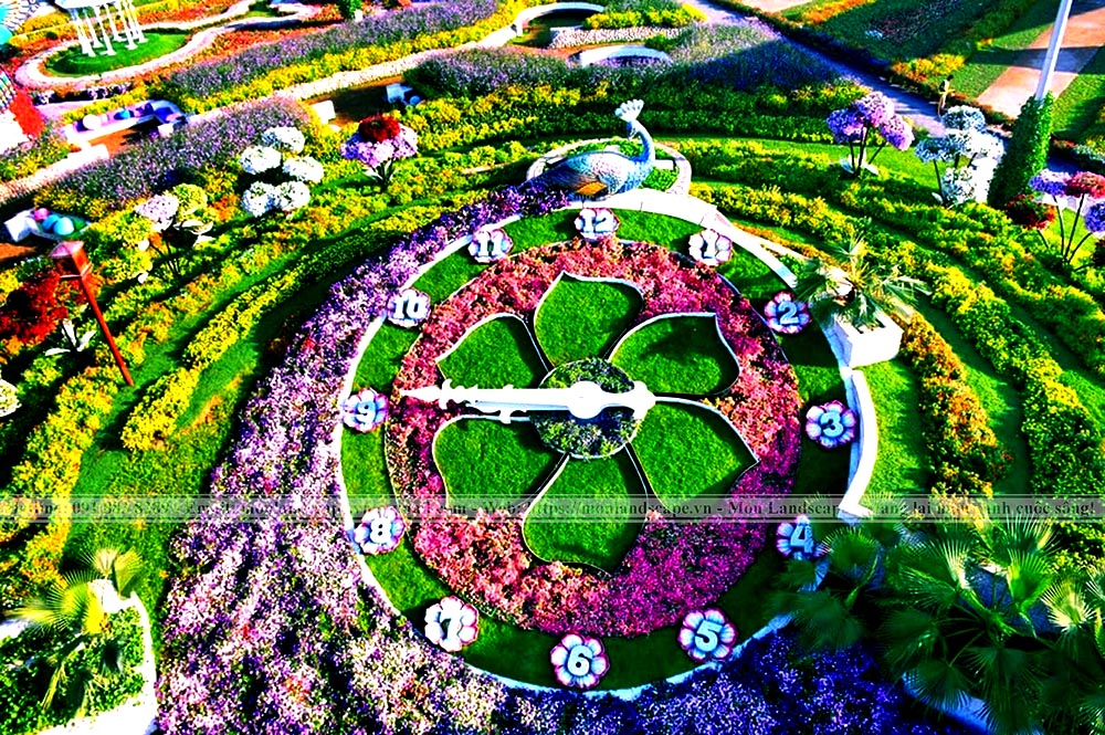 Vườn hoa kỳ diệu - Dubai Miracle Garden