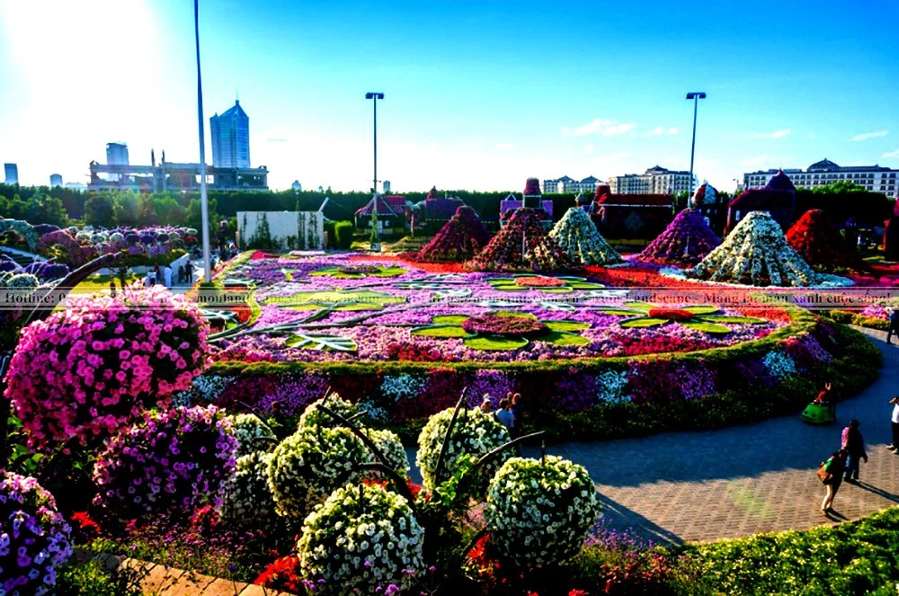 Vườn hoa kỳ diệu - Dubai Miracle Garden