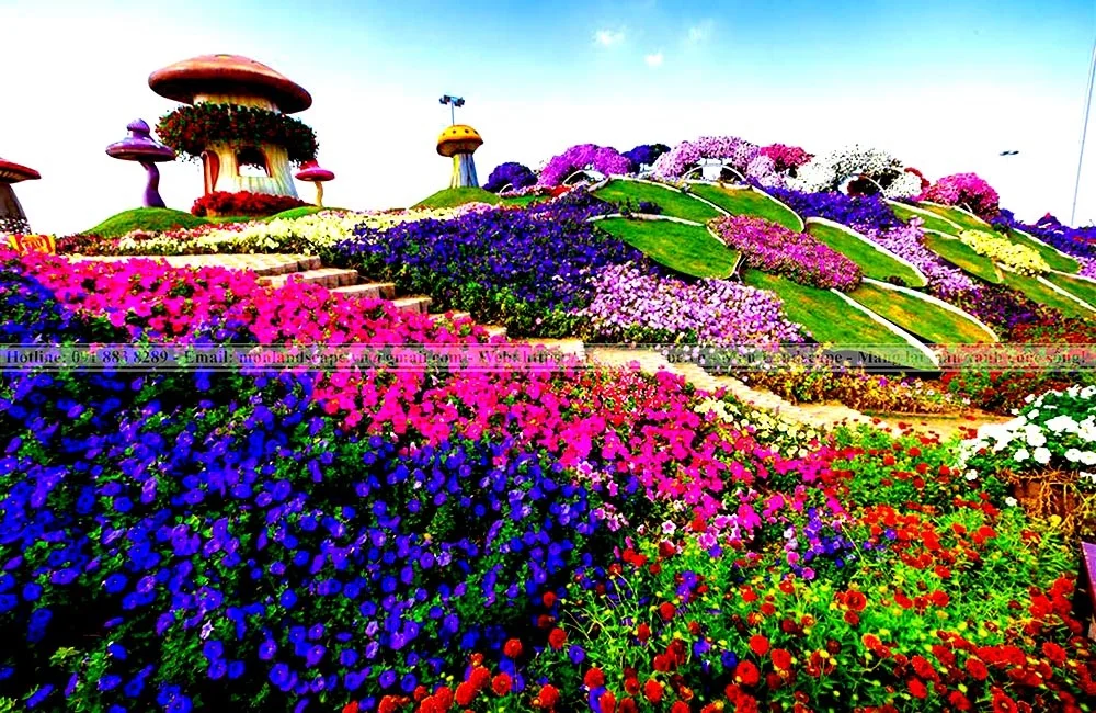 Vườn hoa kỳ diệu - Dubai Miracle Garden