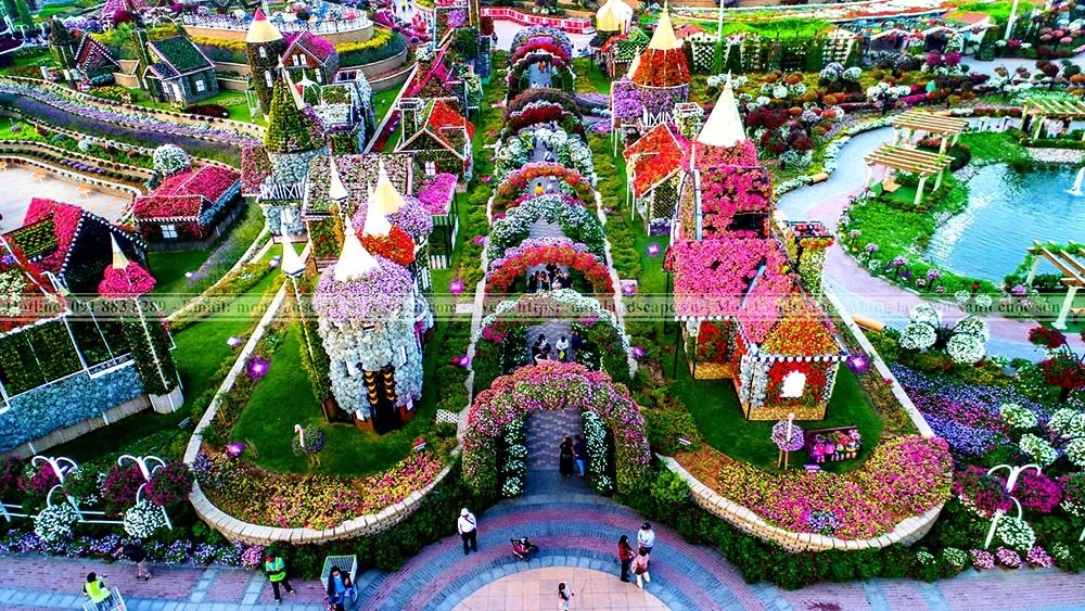 Vườn hoa kỳ diệu - Dubai Miracle Garden
