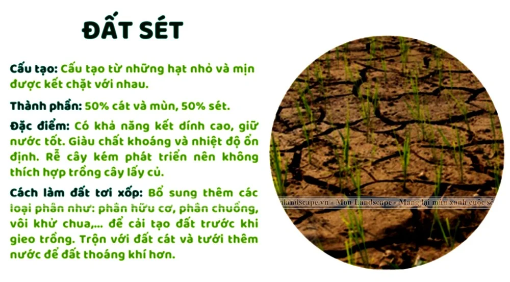 11 quy tắc vàng cho tưới cây