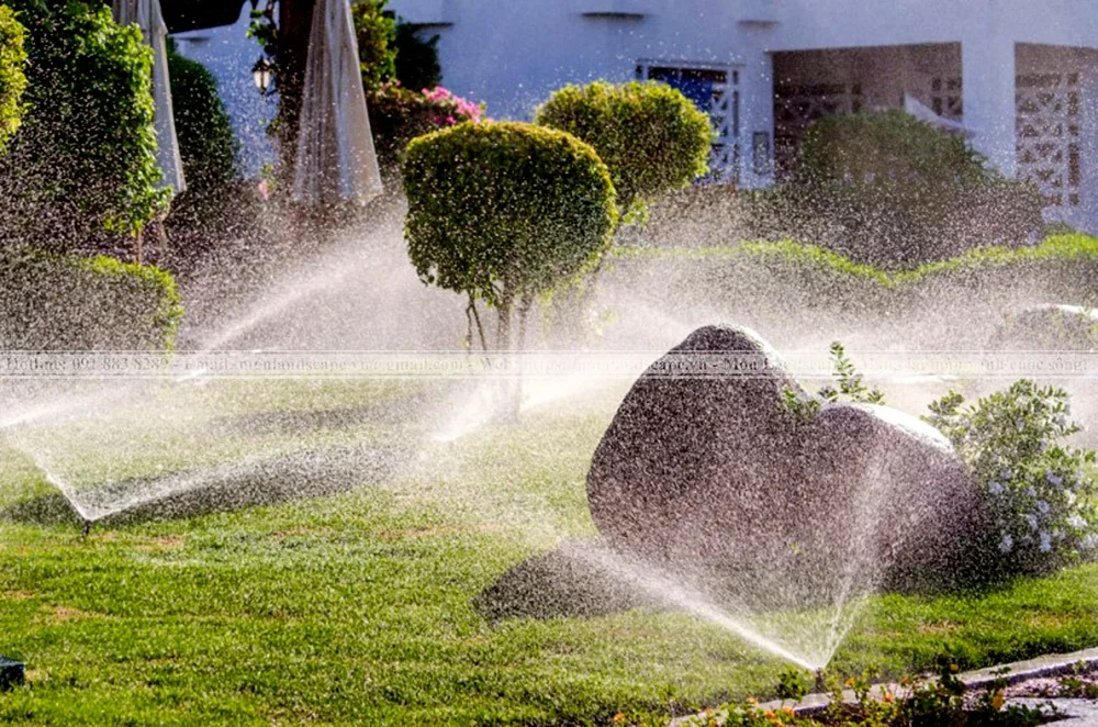 11 quy tắc vàng cho tưới cây