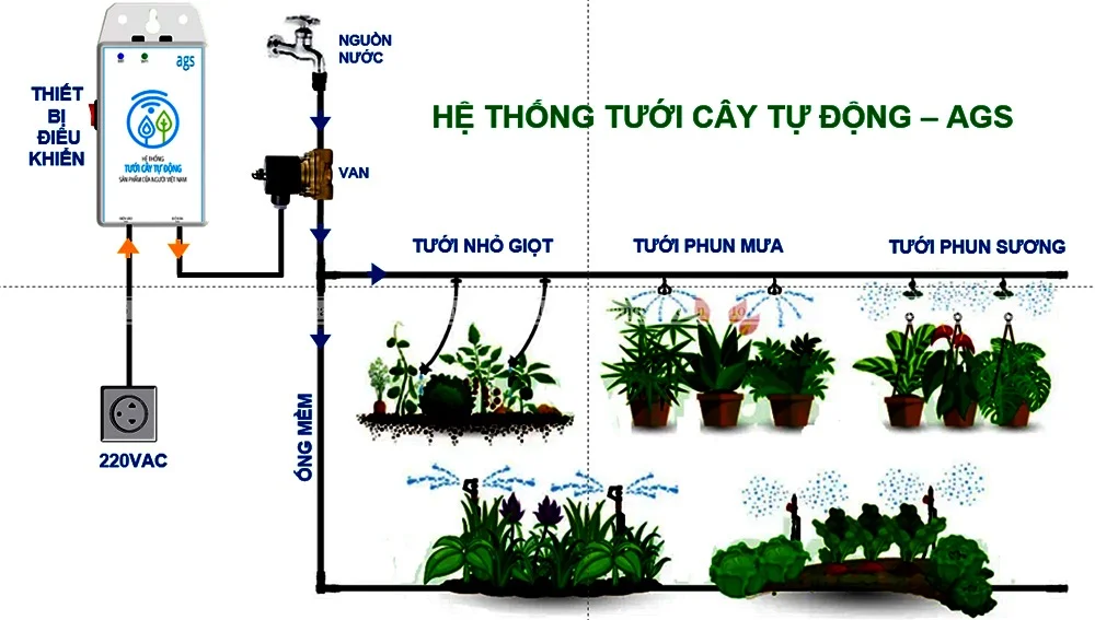 11 quy tắc vàng cho tưới cây