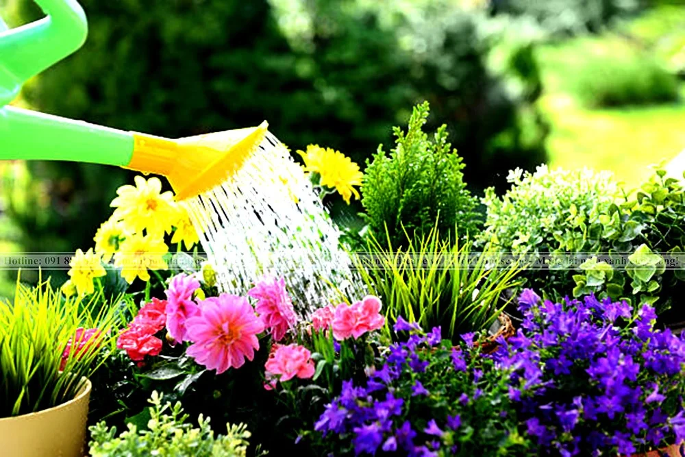 11 quy tắc vàng cho tưới cây