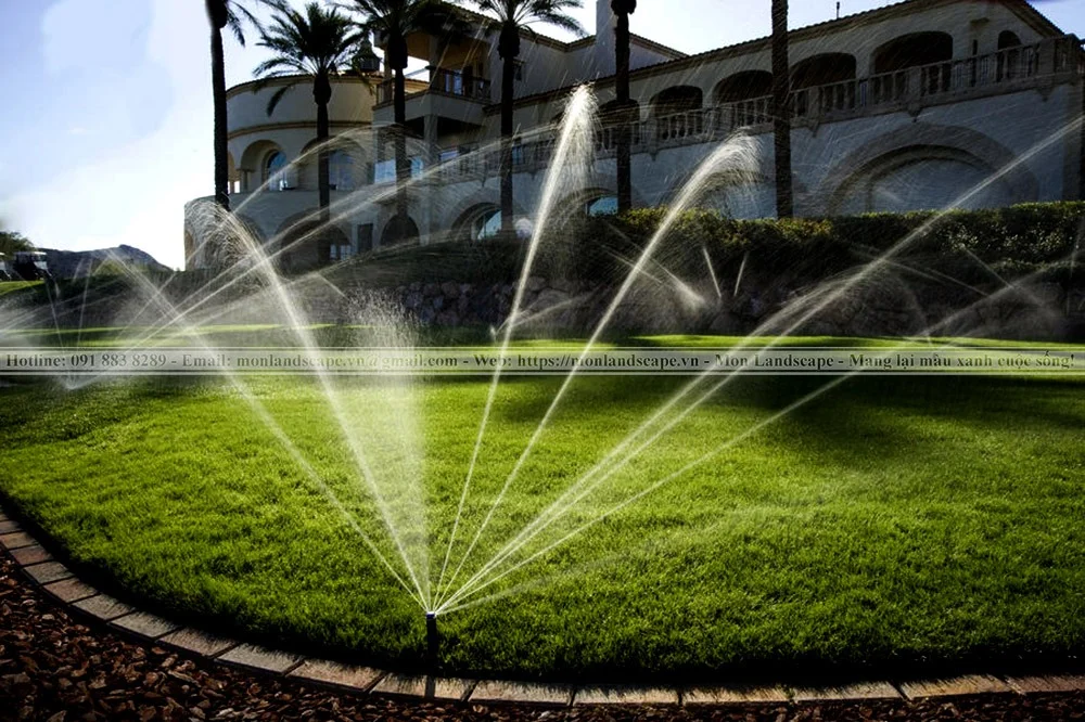 11 quy tắc vàng cho tưới cây