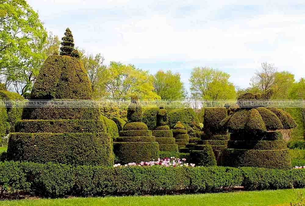 5 khu vườn topiary độc đáo trên thế giới