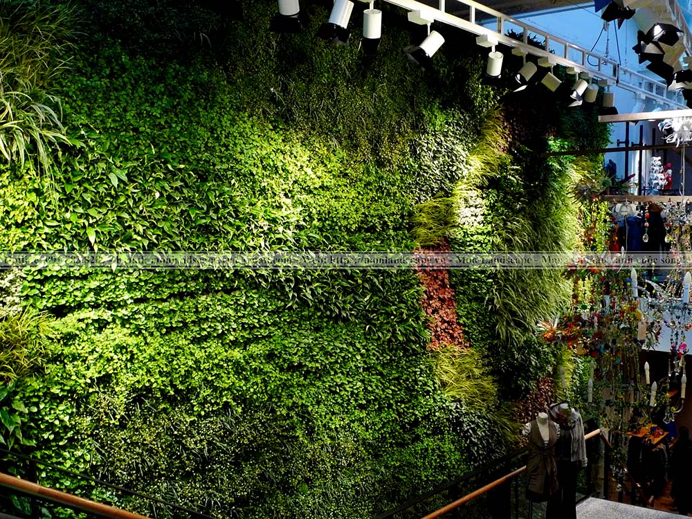 Cung cấp nguồn ánh sáng cho tường cây xanh 