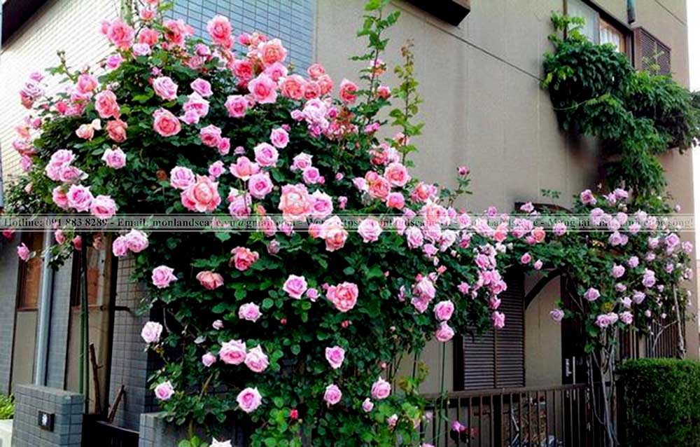 Bật mí những kiểu ban công đẹp nhất